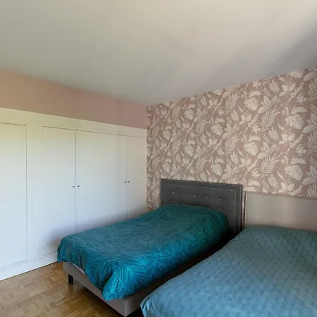 Modern - Pont Mirabeau *